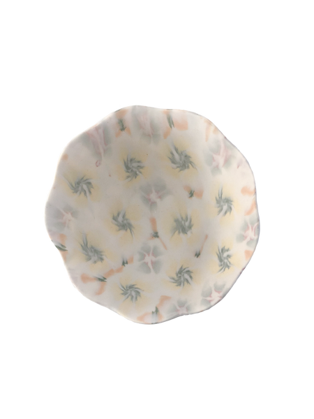 Ceramic Bowl